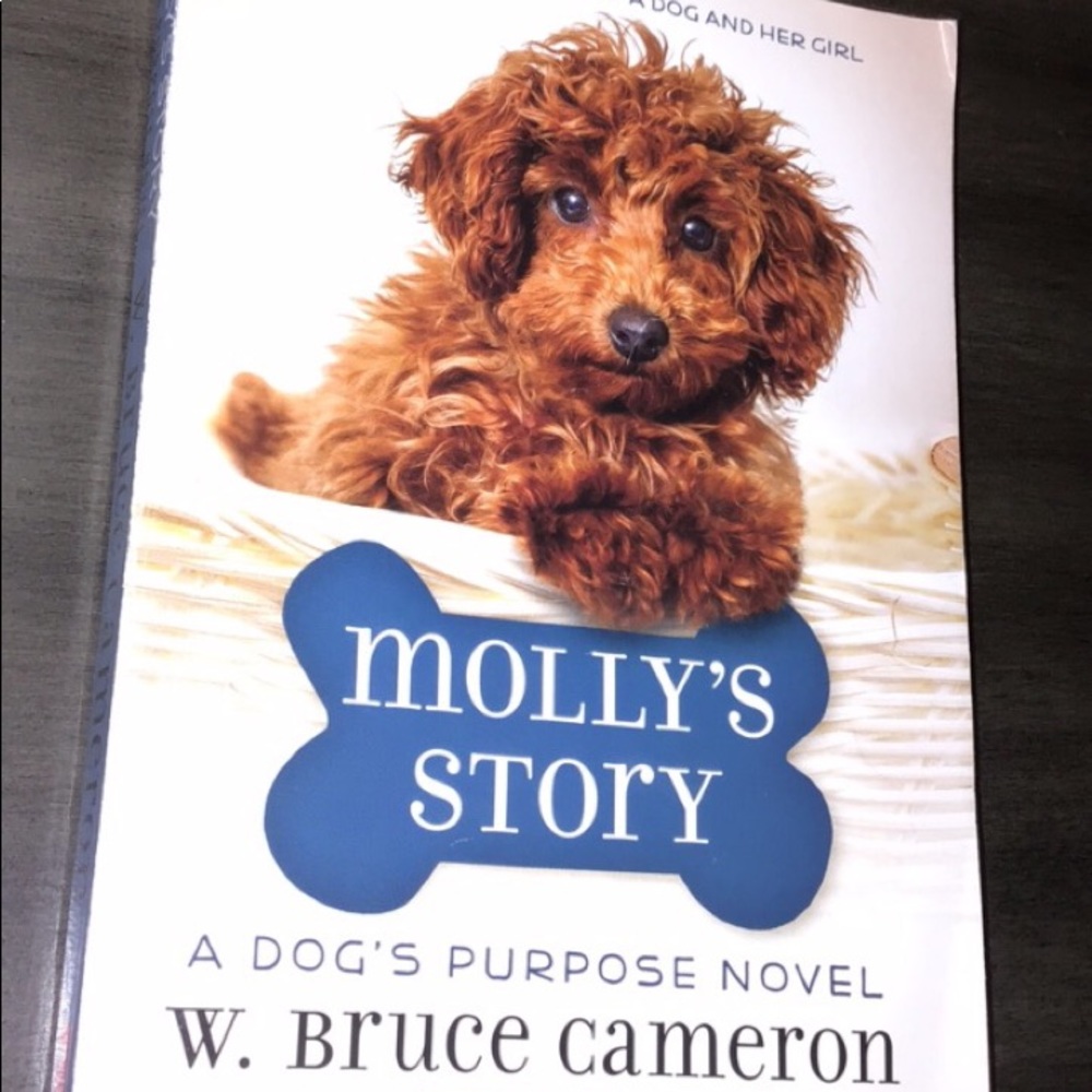 Molly’s story book